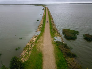 filsø