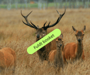 Fuldt booket
