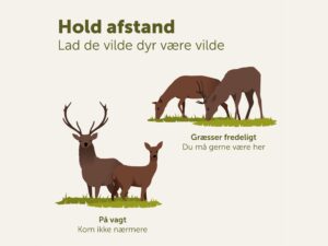 afstand 4×3